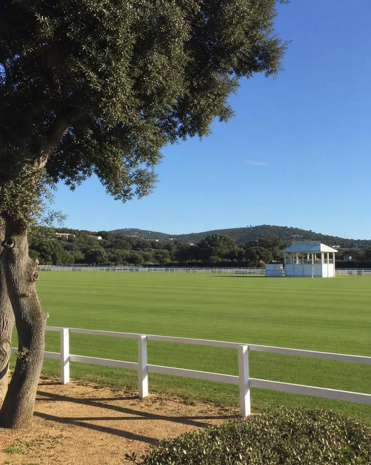 Sotogrande